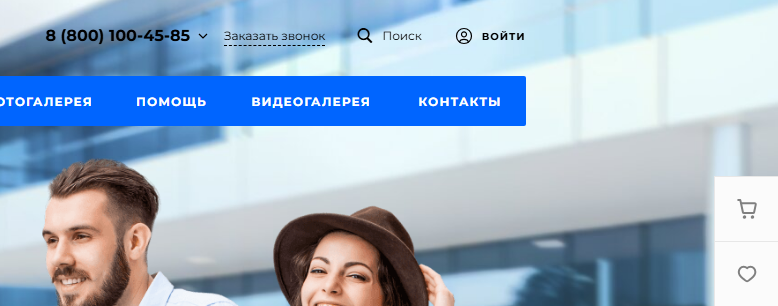 Кнопка «Войти» и иконка корзины