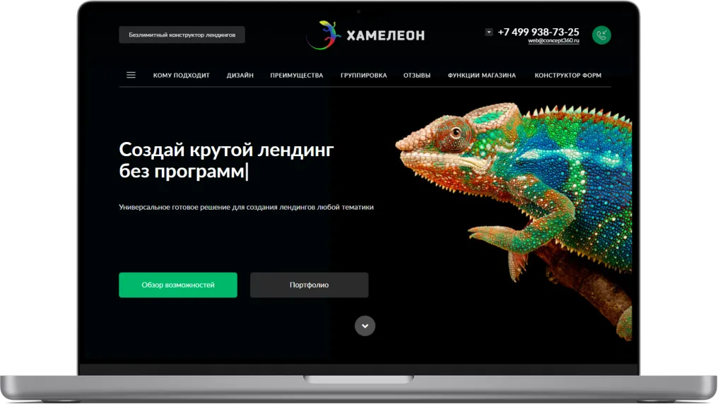 ХАМЕЛЕОН — 999 в 1. Безлимитный конструктор лендингов с корзиной и функциями для «автоворонок»