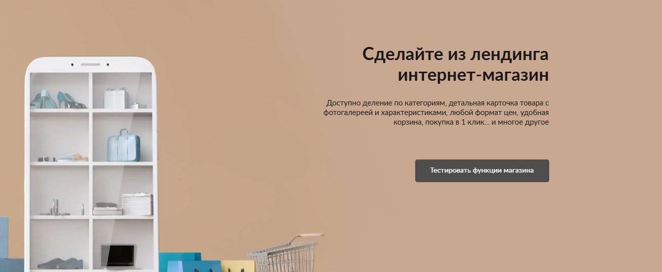 Фото 4: «Почему главная страница не сможет заменить посадочную»