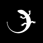 ХАМЕЛЕОН — 999 в 1. Безлимитный конструктор лендингов с корзиной и функциями для «автоворонок»